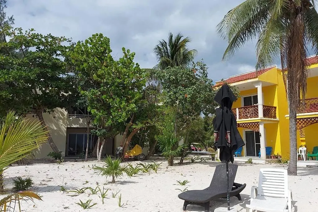 Apartment Marysol Beachfront Next To Nomads D6 Isla Mujeres